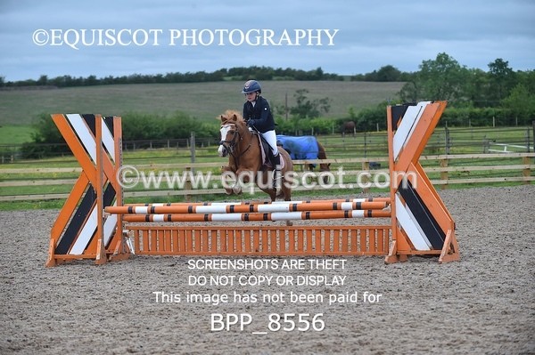 BPP_8556 - CLASS 3 Stepping Stones 128/ 138cms Handicap