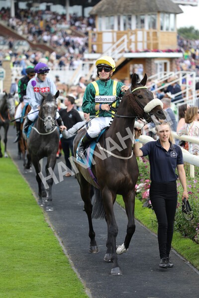 yr23072022r6-6 - Race 6 5.00pm Sky Bet Partnership with Support Dogs Stakes