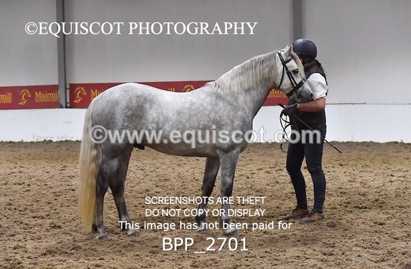 BPP_2701 - LOOSE JUMPING / SPSS