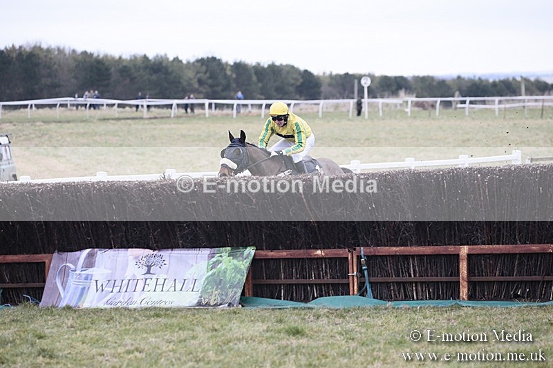 PtP 180218 229 - Combined Services Point-to-Point Larkhill 18/02/18