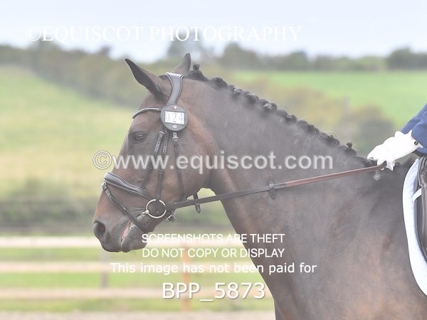 BPP_5873 - PRELIM TEST 5 LONG ARENA