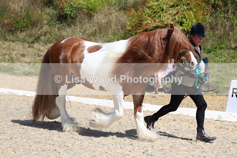 3E7A9890 - In Hand Championship