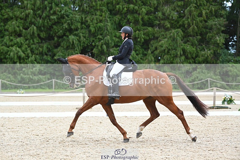 230813-143521-07794 - Cls 13 Medium Bronze 13.15 to End