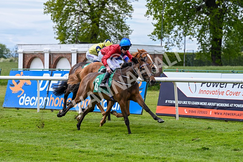 160526-Race 3-Caraway-9539 - Race 3 3.00pm Metaxas Handicap