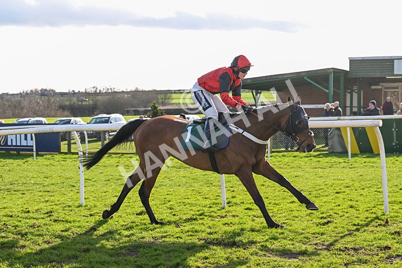 270224-Race 1-Could Be Trouble-2990 - Race 1