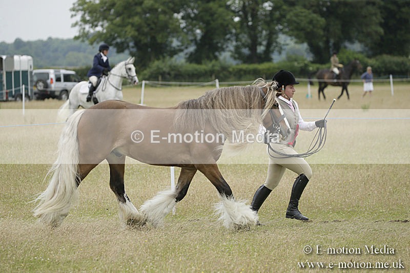 B230619-0834 - Bourne Valley Riding Club Summer Show 23/06/19