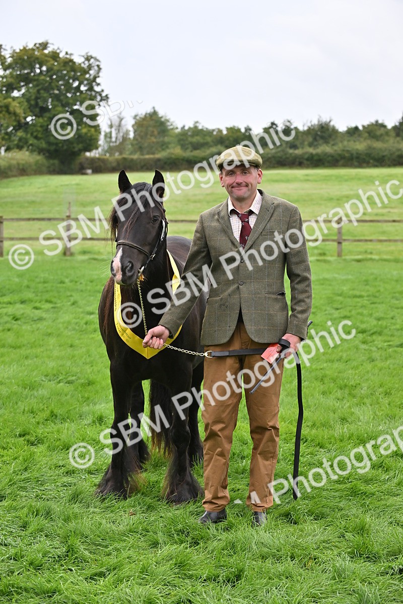 SBM_58164 - S47 - Mini Show Cob In Hand