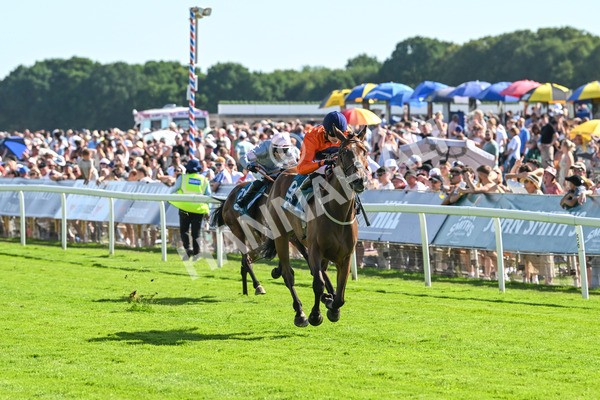 120725-Race 6-Terrorise-6091 - Race 6 4.45pm John Smith's Stayers' Handicap