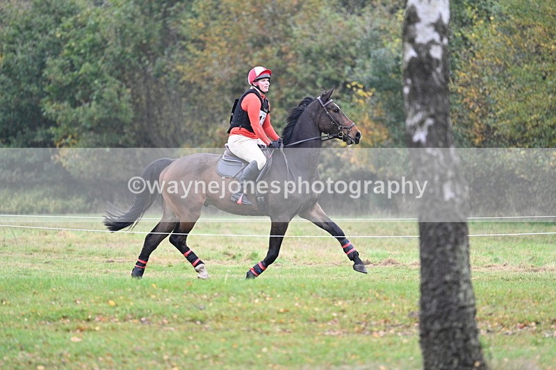 WJ7_0626 - 80cm Cam 2 Water Time 11:08 to 11:28