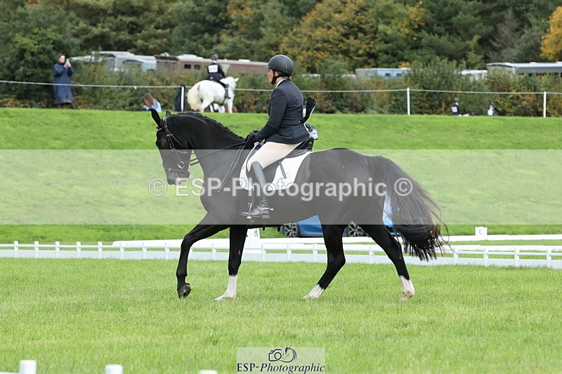 251023A-113953-03386 - D-315-Georgina.Marks