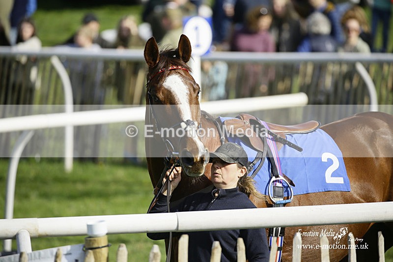 PtP 180422 312 - Old Berkshire PtP Lockinge 18/04/22
