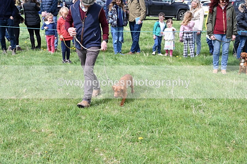 WJ6_8323 - Class 4 Prettiest Bitch