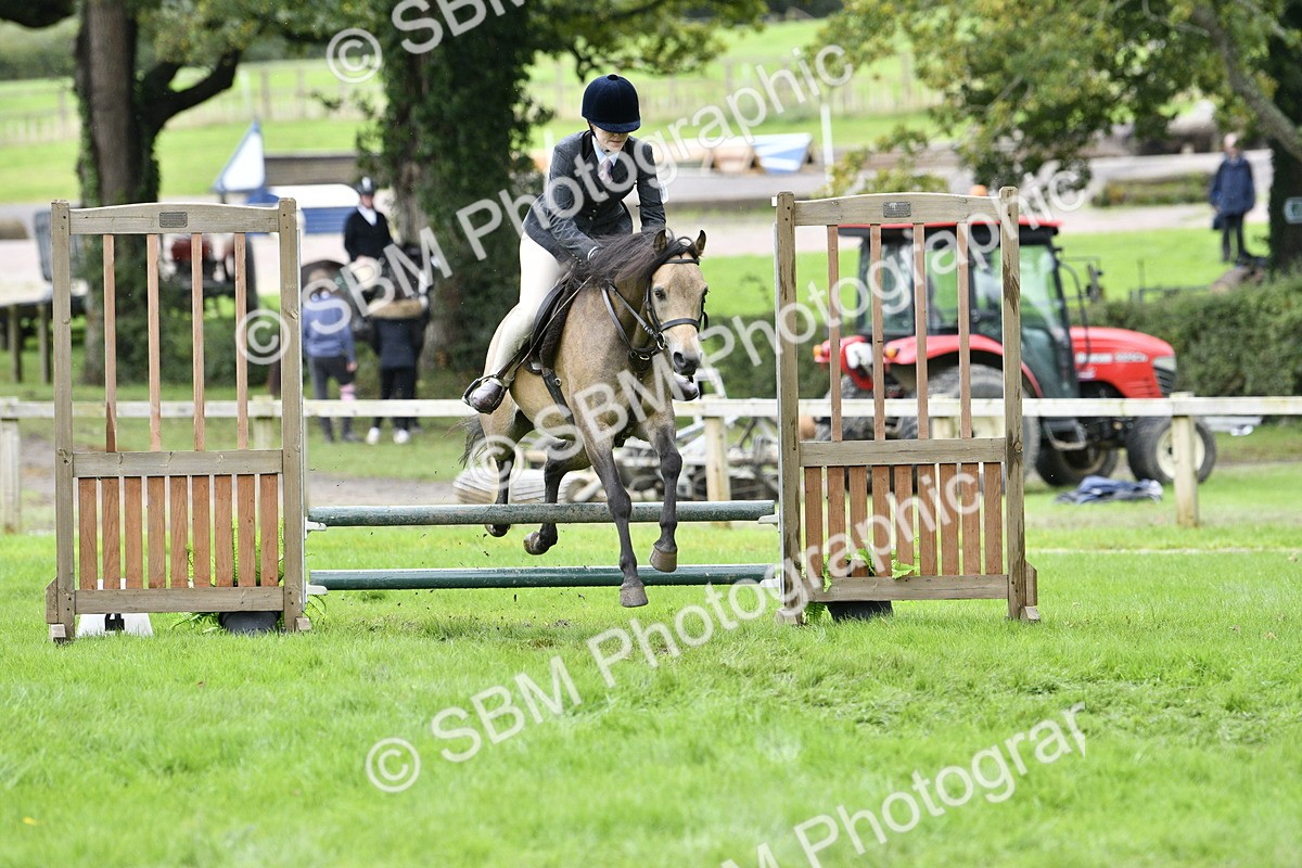SBM_41347 - S32 - Mountain & Moorland Working Hunter Pony