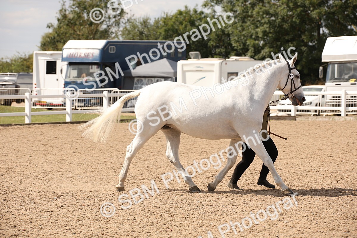 SBM_04547 - Class 20 IH Veteran