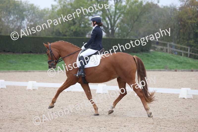 20251012-0646 - Class 5 - Elementary 5