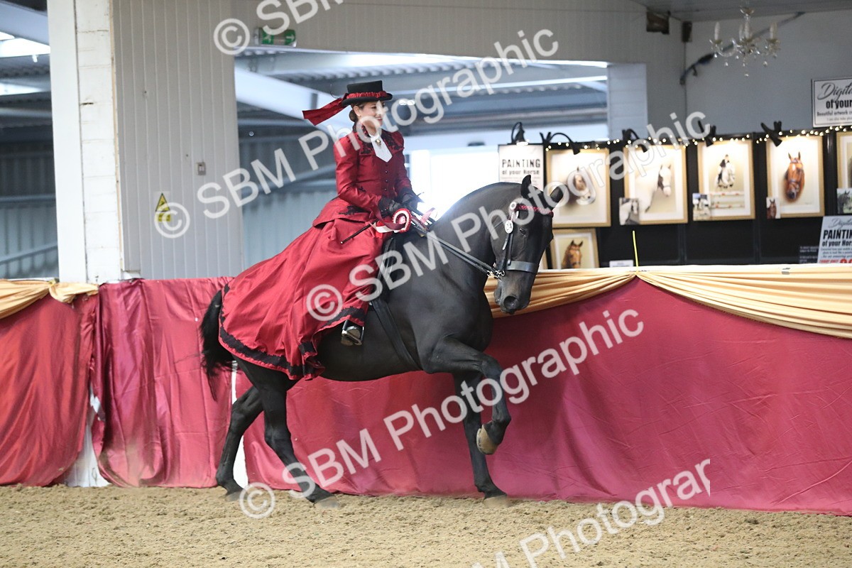 SBM_12215 - Class 107 Ridden Costume- Astride Adult (20+)