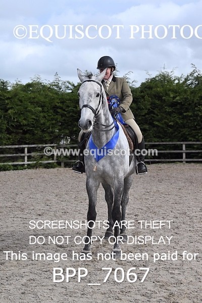 BPP_7067 - RING 1  (RIDDEN HORSES / IN HAND / VETERAN ETC)