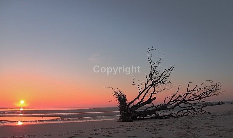 Tentsmuir sunrise - Landscapes