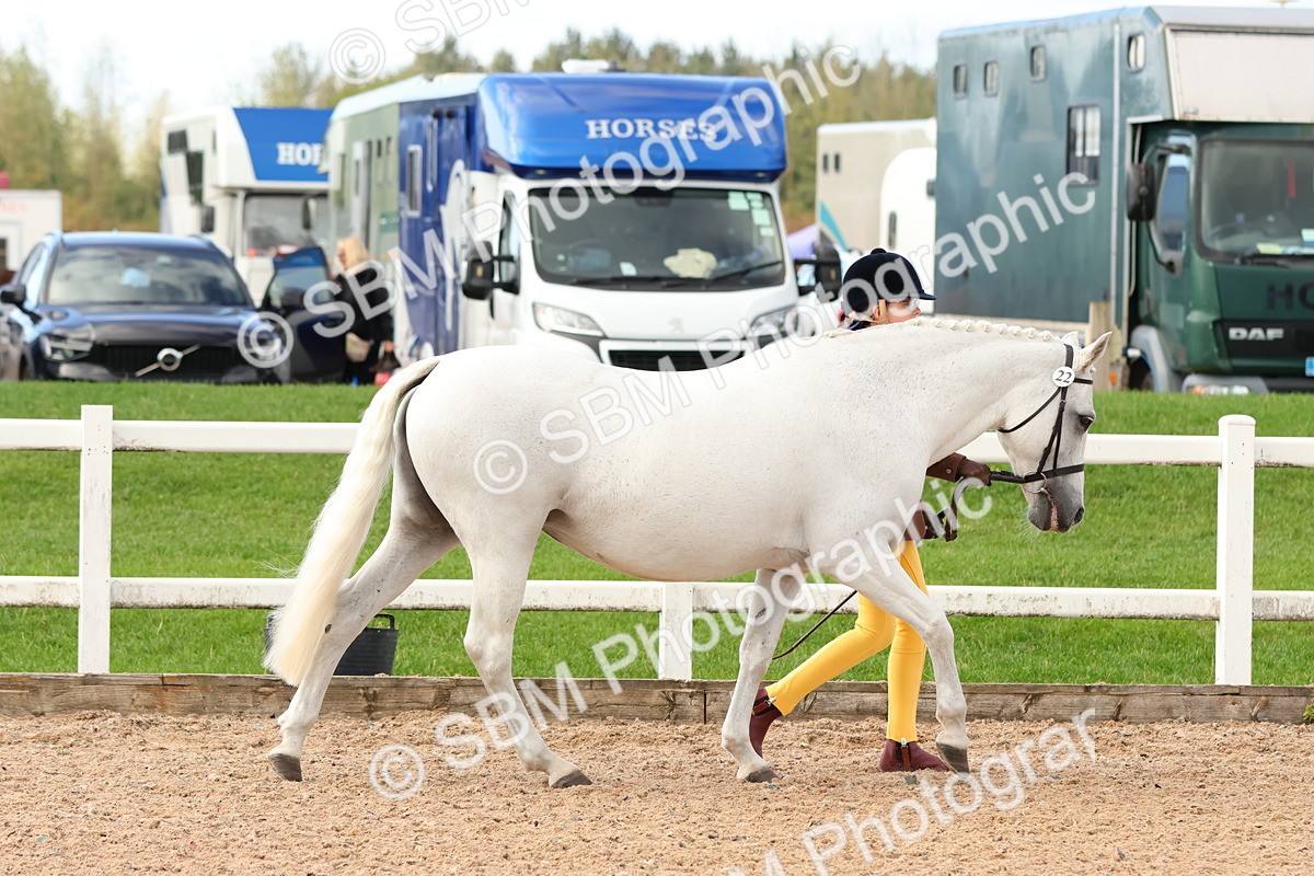 SBM_09176 - Class 204 - Young Handler