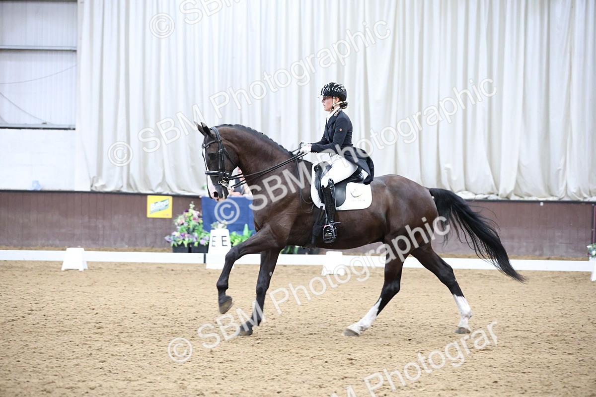 SBM_004684 - Class 9 - FEI Inter 1 Gold - 16.59-17.47