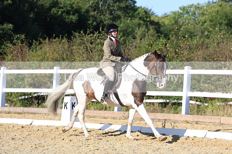 3E7A5293 - Class 8: Small Ridden Hunter