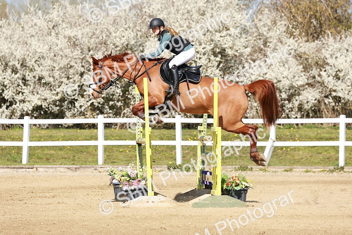 SBM_004257 - Class 17 - Senior Newcomers - 1.10m