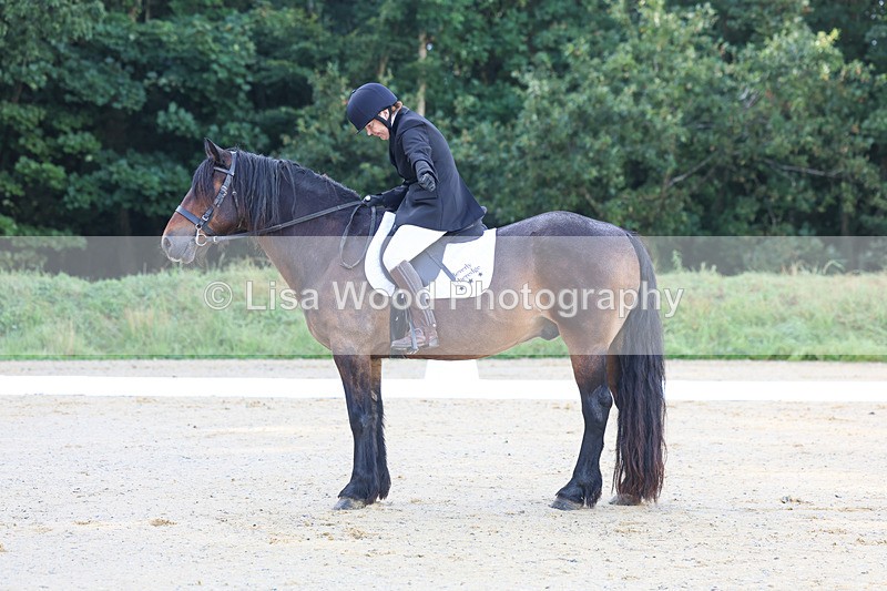 3E7A1883 - Class 1: Intro 4 2024 section A