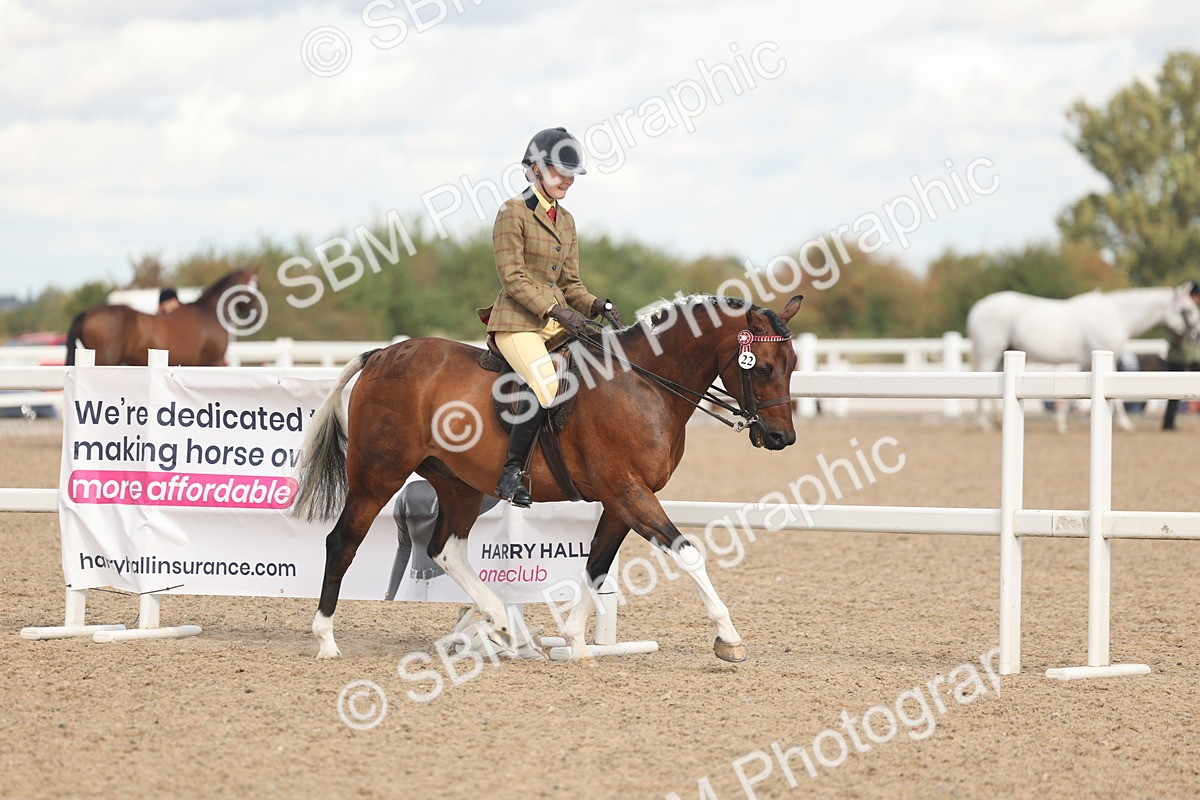 SBM_14627 - Class 307 - Ridden Coloured Pony