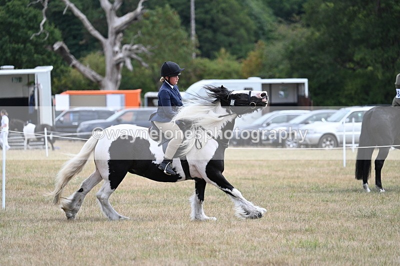 WJ7_5594 - Class 12 Ridden Cob