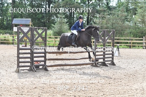 BPP_2341 - DERBY CLASS 7 - 80CM