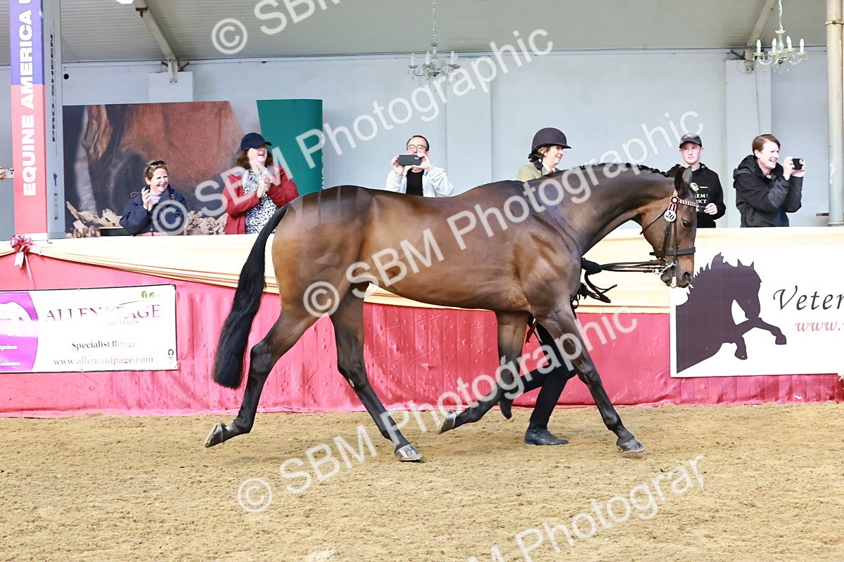 SBM_22447 - Class 902 - Supreme Final - IH Diamond