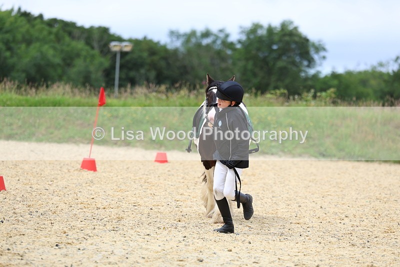 3E7A9647 - Walk trot run