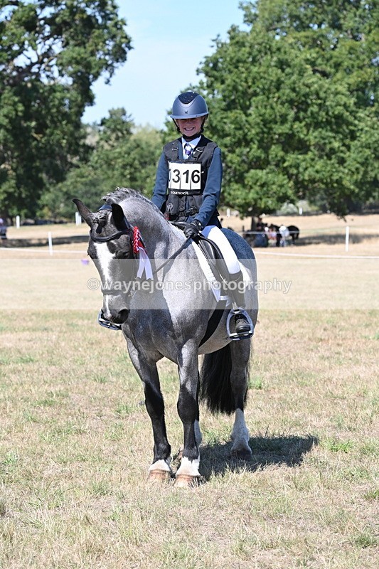 WJ6_8725 - Class 37b Best Loan Pony In-hand