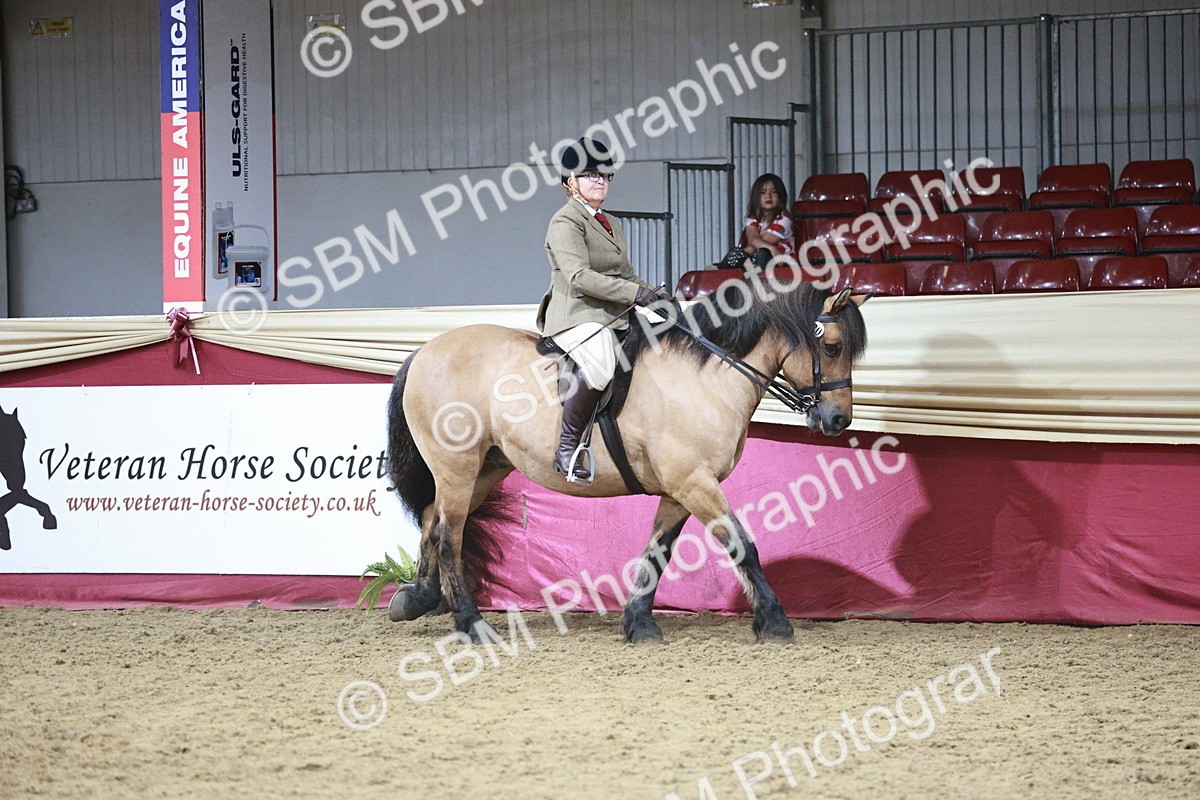 SBM_07992 - Class 11R - Regional Ridden Veteran