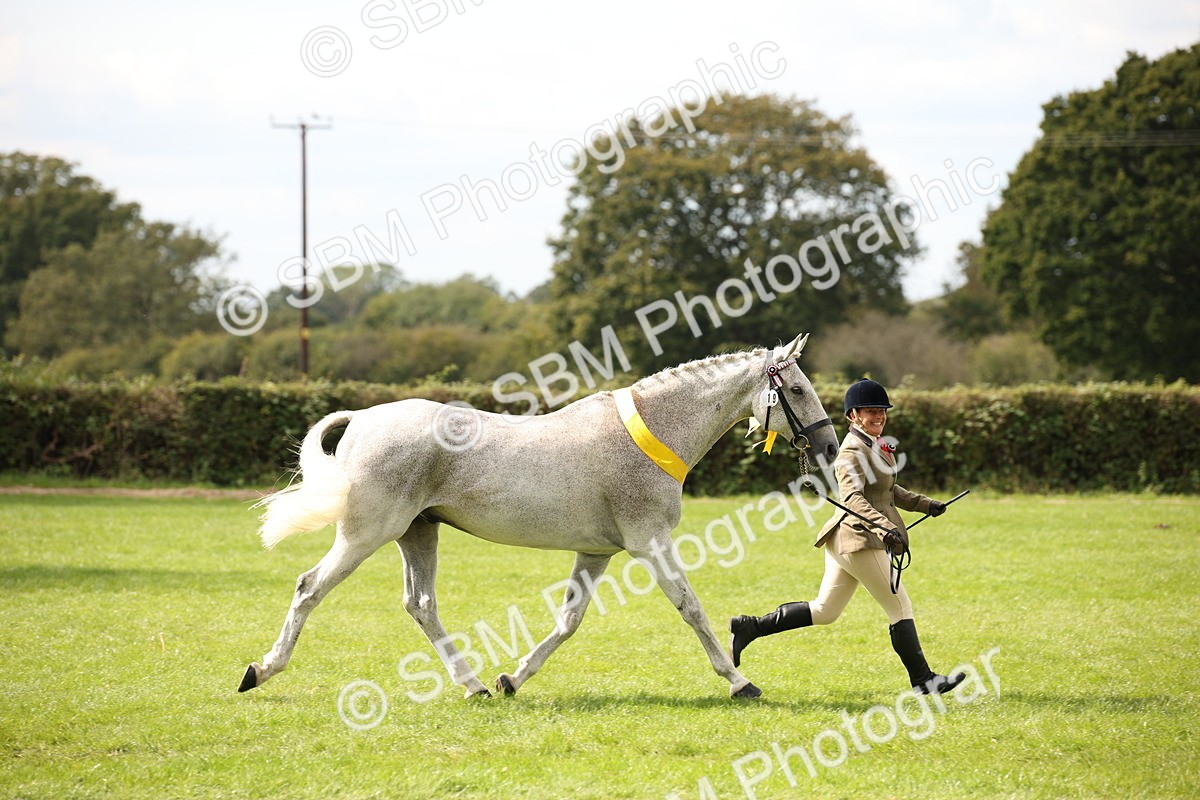 SBM_44531 - S24 - Young Veteran in hand