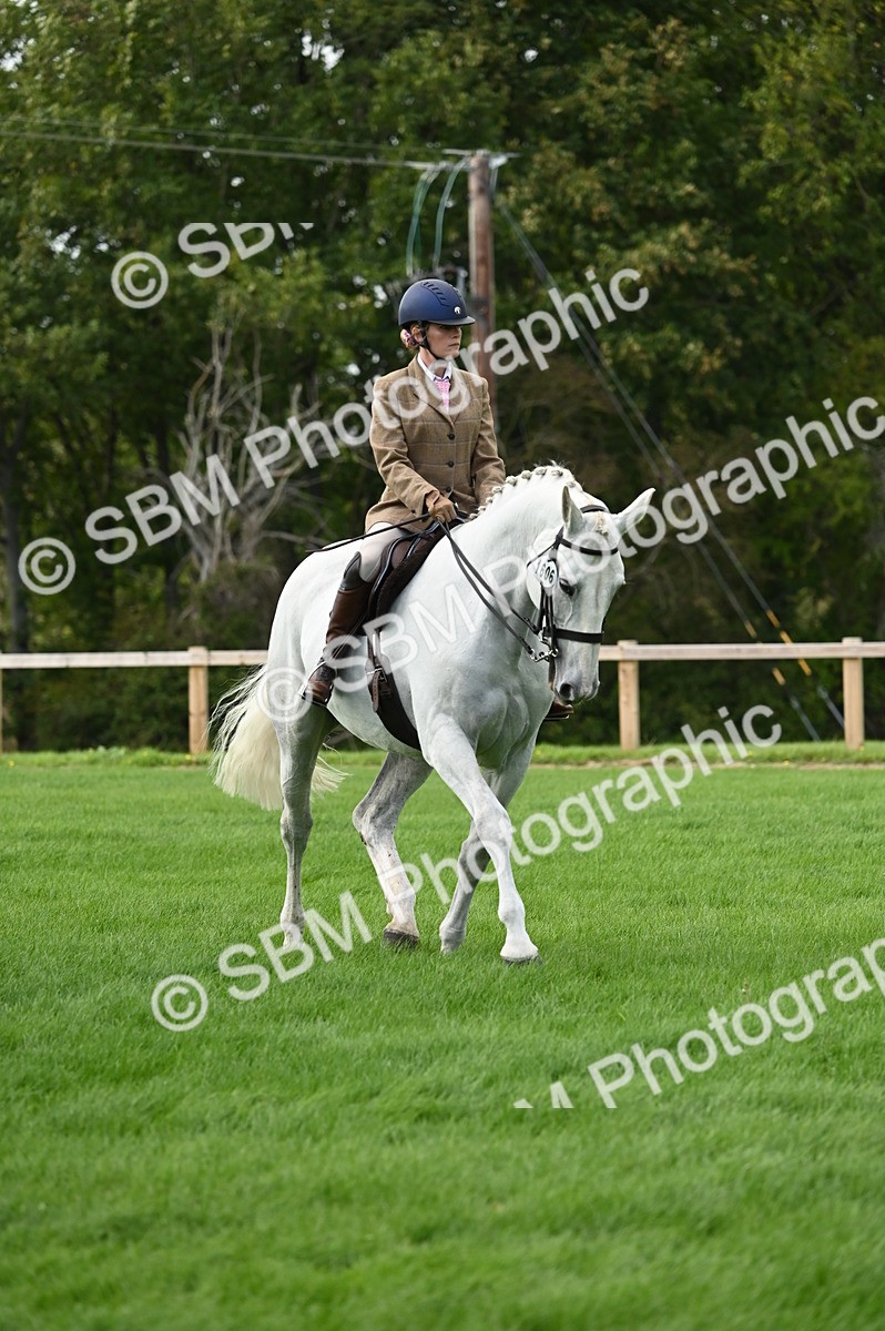 SBM_26392 - S6 - Novice & newcomer Ridden horse