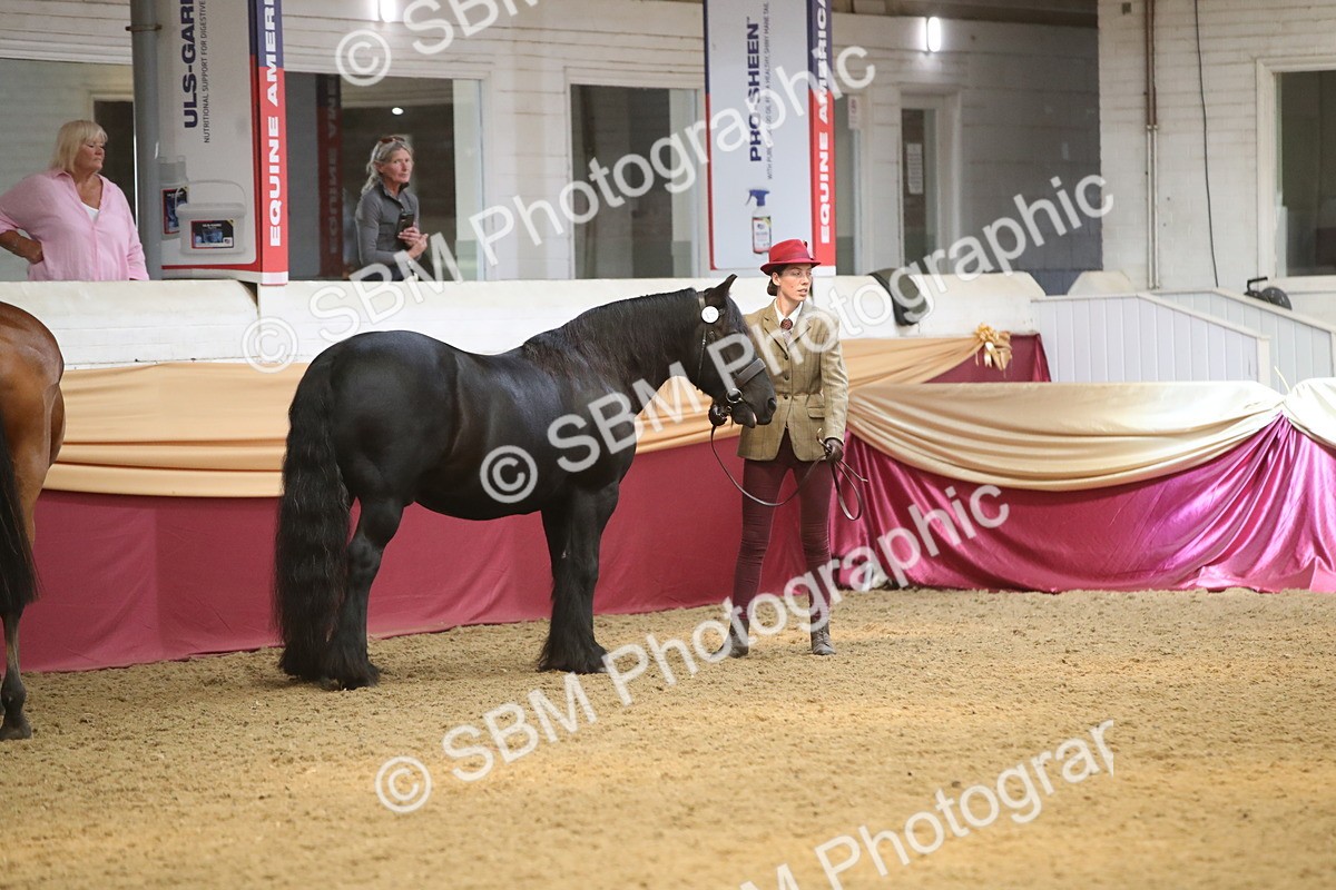 SBM_05528 - Class 9R - Regional IH Pre-Vet