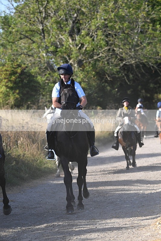 WJ5_5005 - Walk out with the hounds