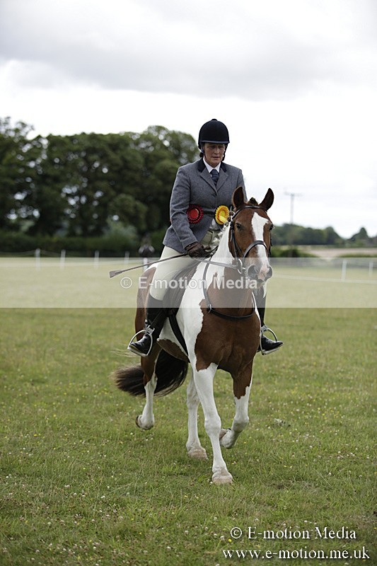 BVR160717-2119 - Ridden Championship 16/07/17