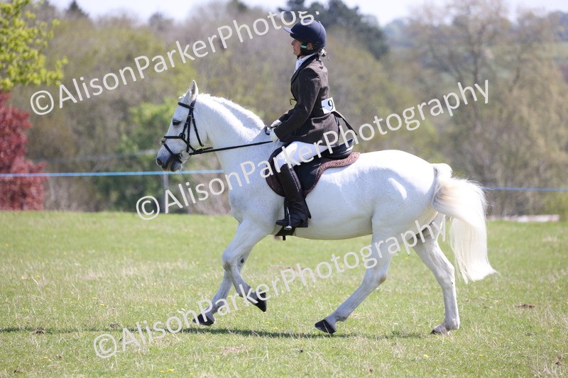 20250427-3210 - Class 33 - Best Pony 14.2hh and Under