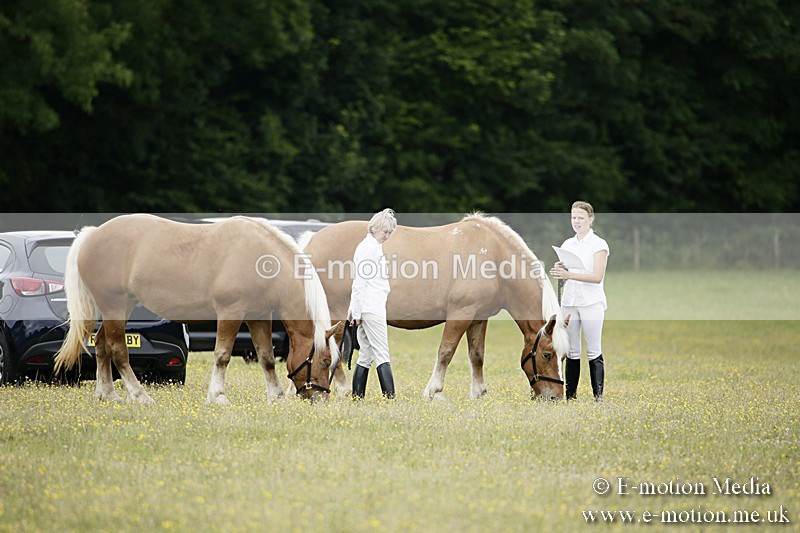 BVR160717-1005 - Caught on Camera 16/07/17