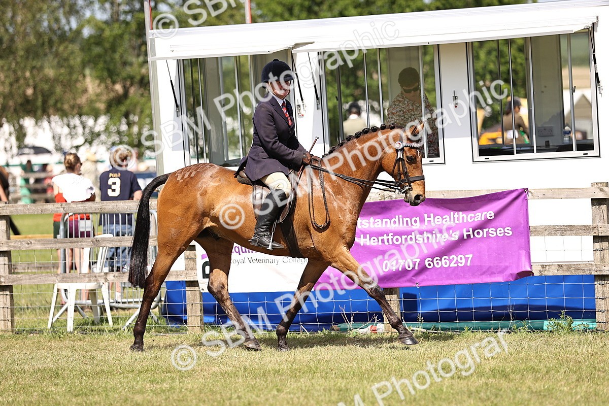 SBM_17986 - Class 81-83 - TSR Ridden Amateur of the Year - Horses