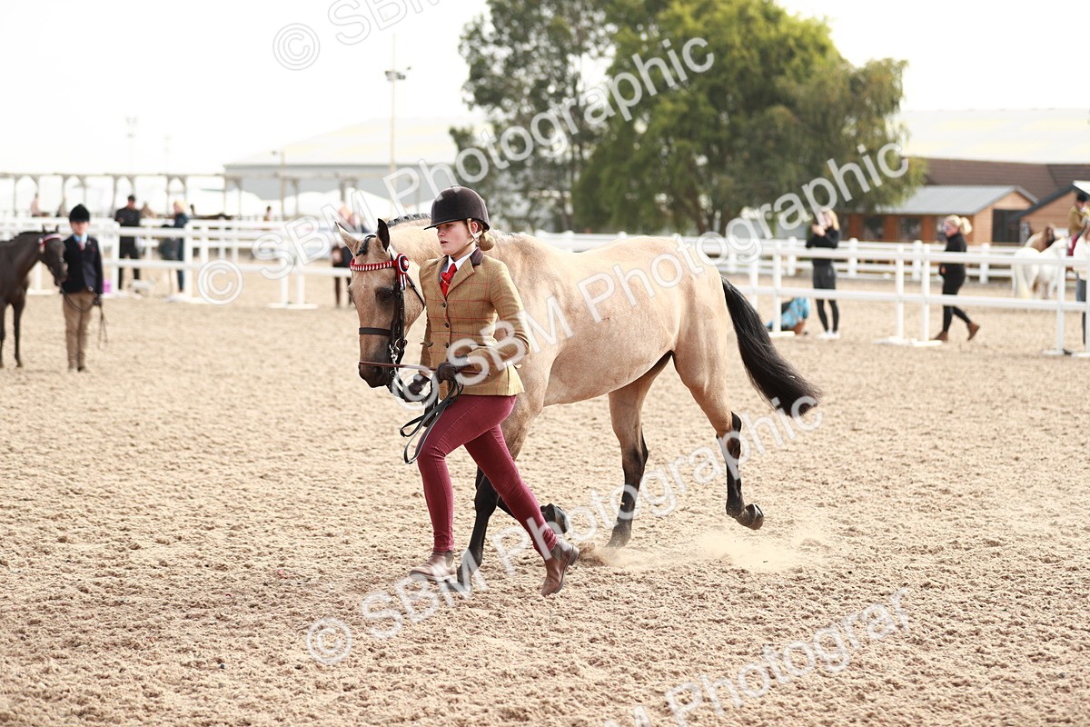 SBM_10538 - Class 204 Young Handler, 11-16 years