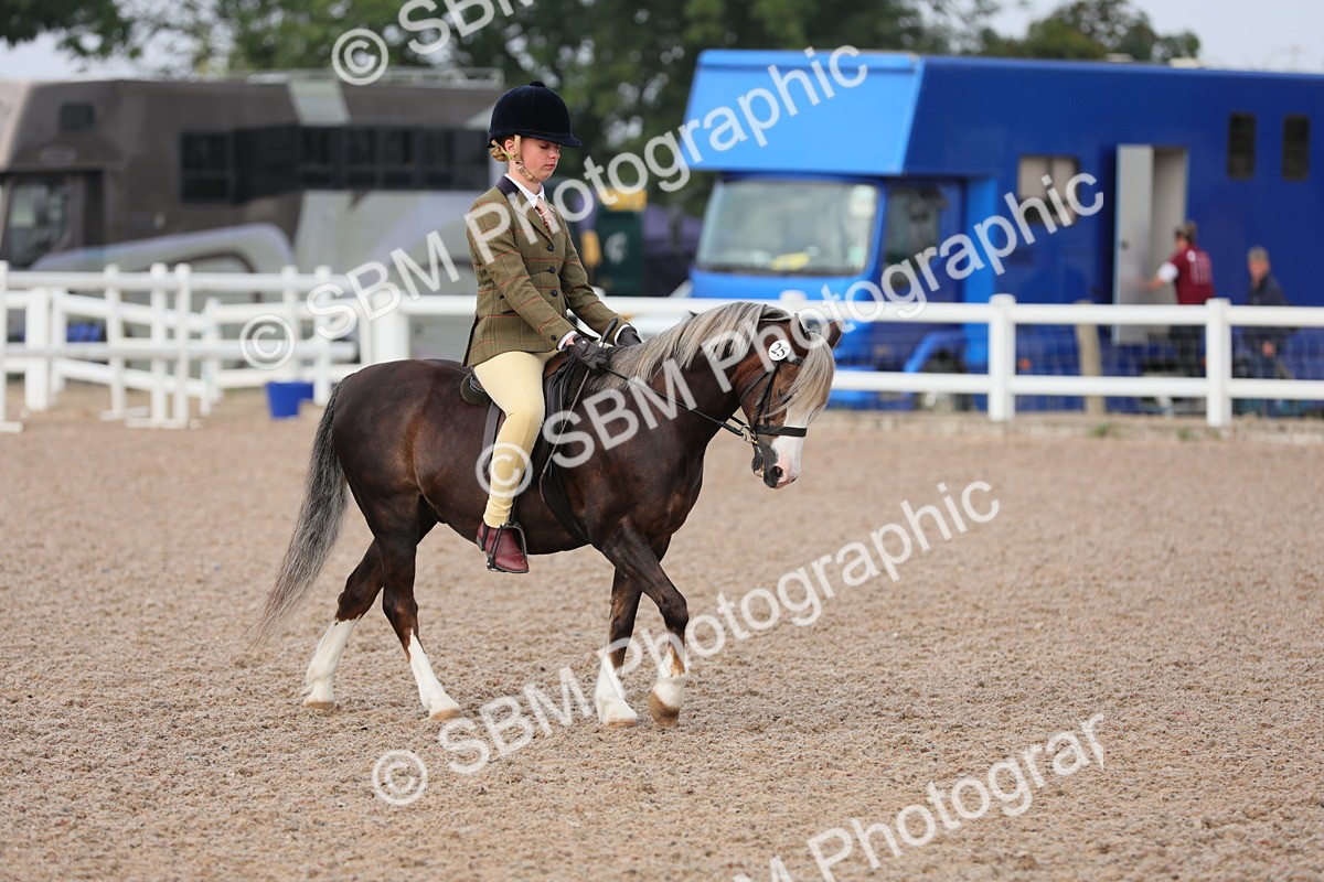 SBM_09602 - Class 301 Ridden M&M -Small Breeds