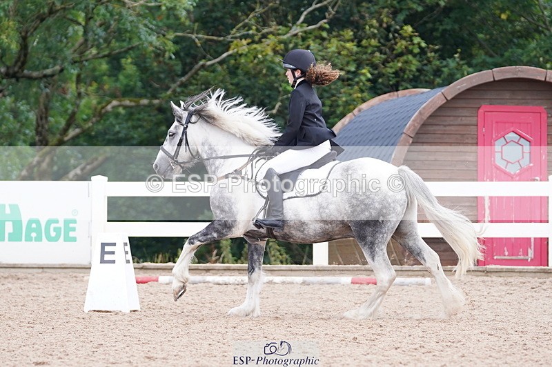 240809A-101906-00483 - Dressage Competition