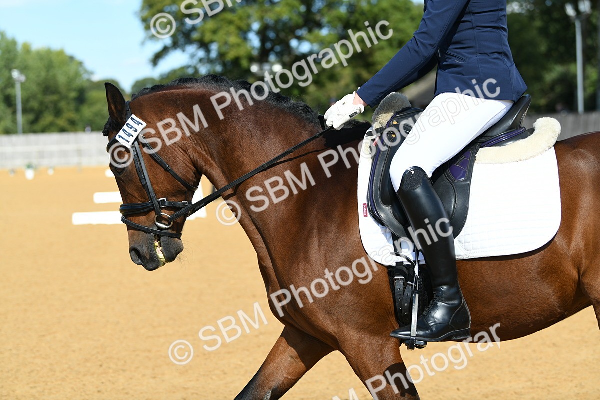 SBM_22733 - D13 - Grand Tour Championship - Prelim 12