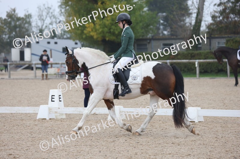 20251012-0578 - Class 5 - Elementary 5