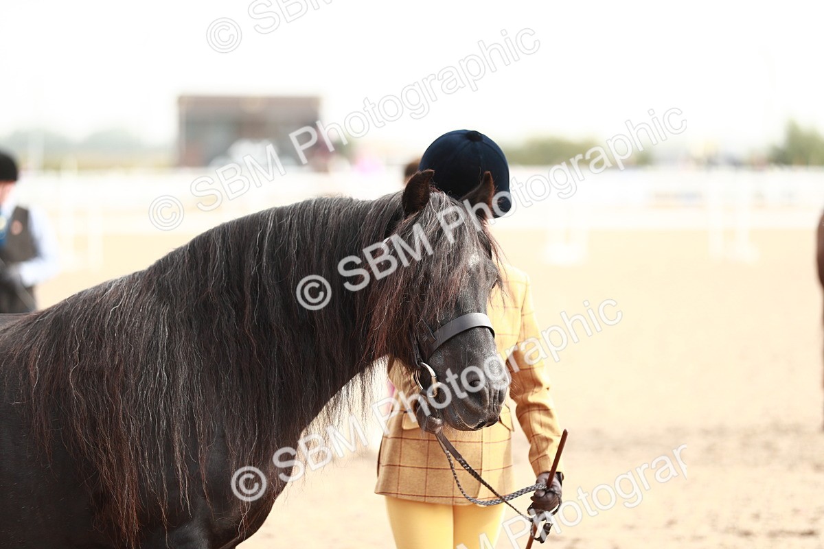 SBM_10540 - Class 204 Young Handler, 11-16 years