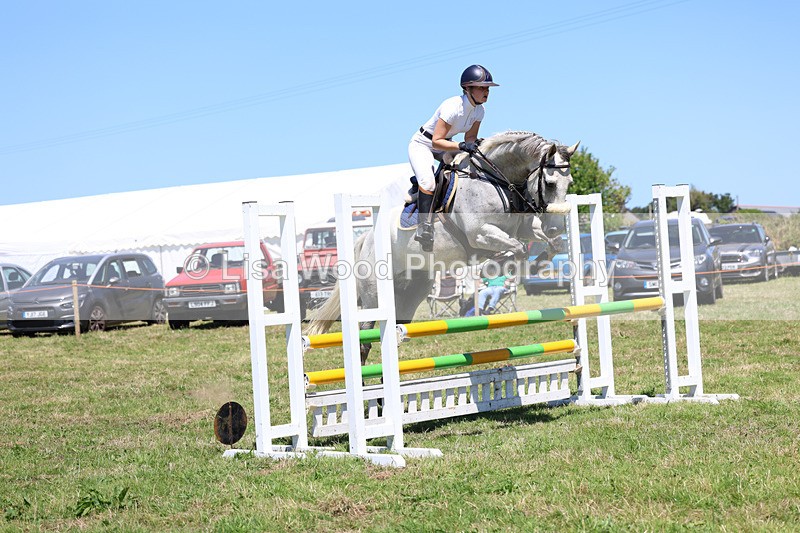 3E7A5574 - Class 9: Senior British Novice/90cm open