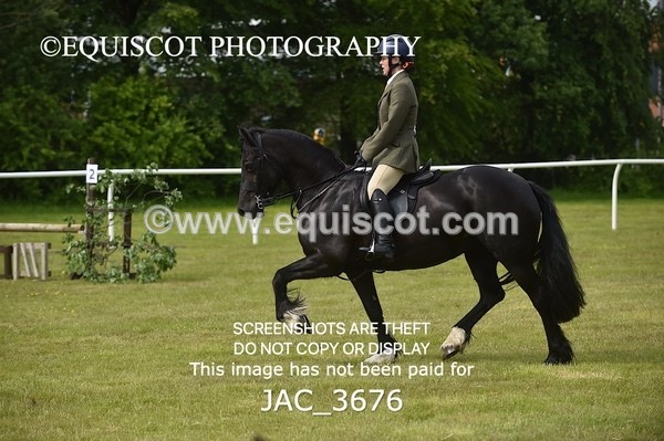 JAC_3676 - 75CM WORKING HUNTER